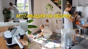 Как избавиться от запаха плесени в шкафу